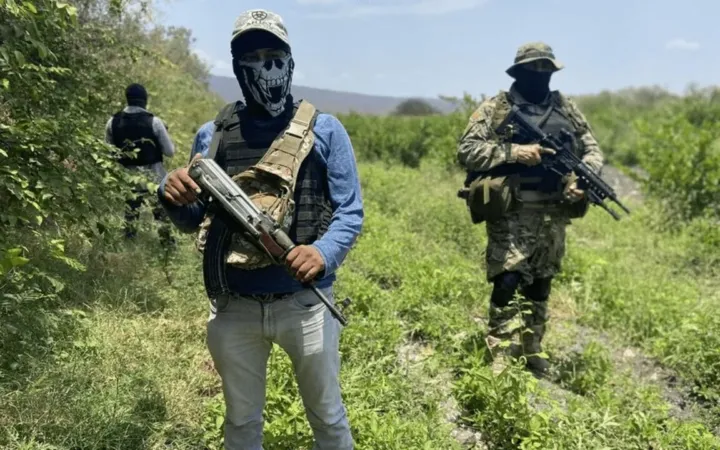 Narcotráfico en México: un problema persistente