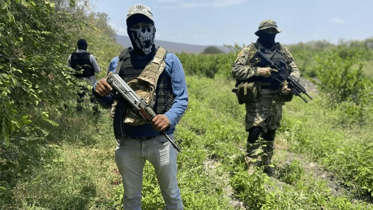 Narcotráfico en México: un problema persistente