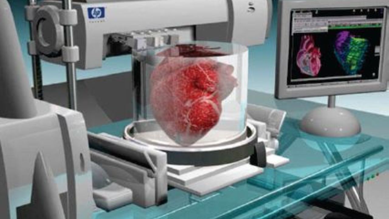 Impresiones 3D de órganos humanos Un futuro esperanzador para la medicina