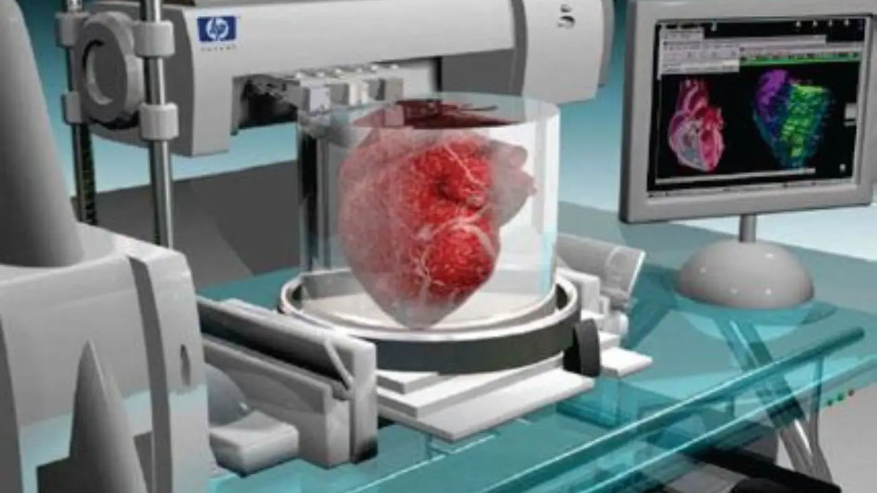 Impresiones 3D de órganos humanos Un futuro esperanzador para la medicina