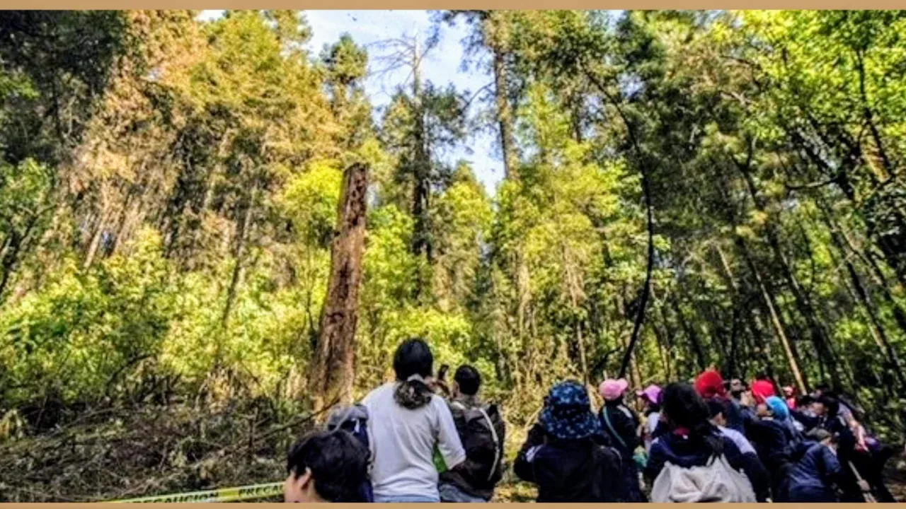 Cuenta Estado de México con sitios turísticos para todos los gustos