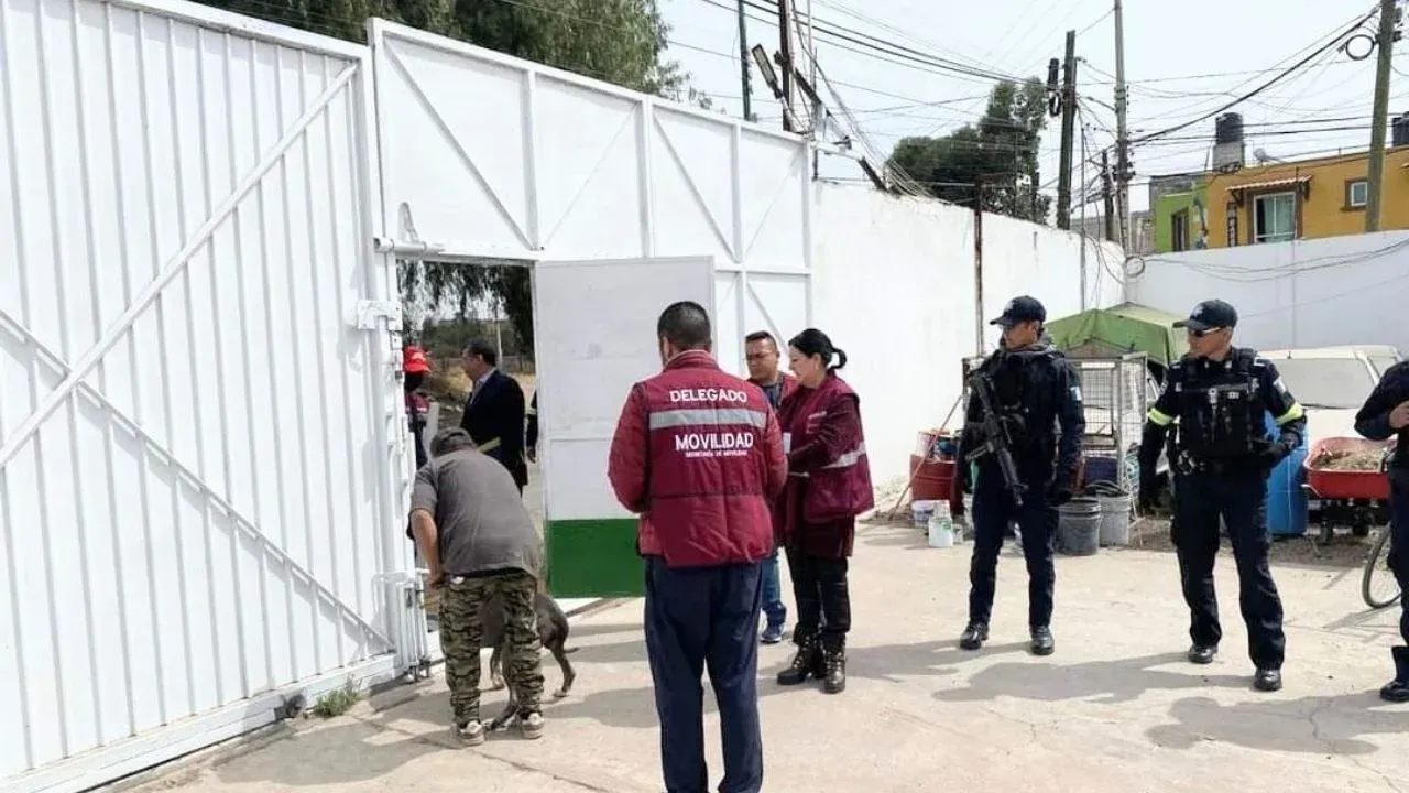 Tras operativo conjunto SEMOV, SSEM y FGJEM clausuran tres establecimientos clandestinos de grúas y depósitos de vehículos