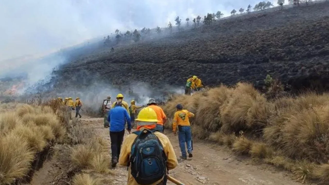 GEM informó que Brigadas de Probosque mitigan incendio forestal en el Cerro de la Biznaga en Atizapán de Zaragoza