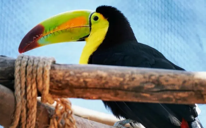 Anuncian medidas para proteger a 530 animales del zoológico de Ecatepec ante ola de calor