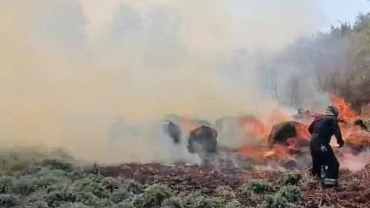 Controlan Bomberos incendio en Vaso Regulador de Cristo en Naucalpan
