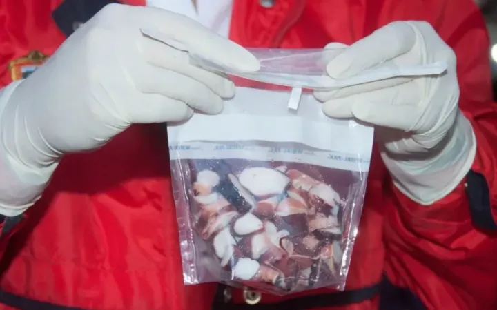 Emite Secretaría de Salud del GEM recomendaciones para consumir productos del mar saludables en temporada de Cuaresma