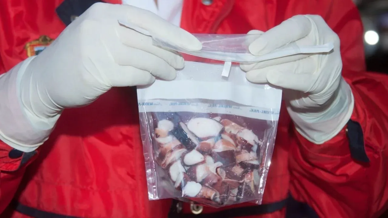 Emite Secretaría de Salud del GEM recomendaciones para consumir productos del mar saludables en temporada de Cuaresma