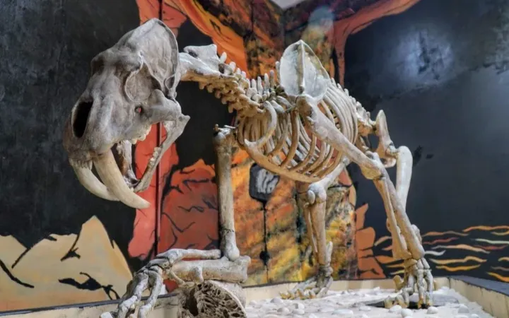 Ernesto Santillán convoca a estudiantes de Ecatepec a visitar el Museo de Vestigios Arqueológicos