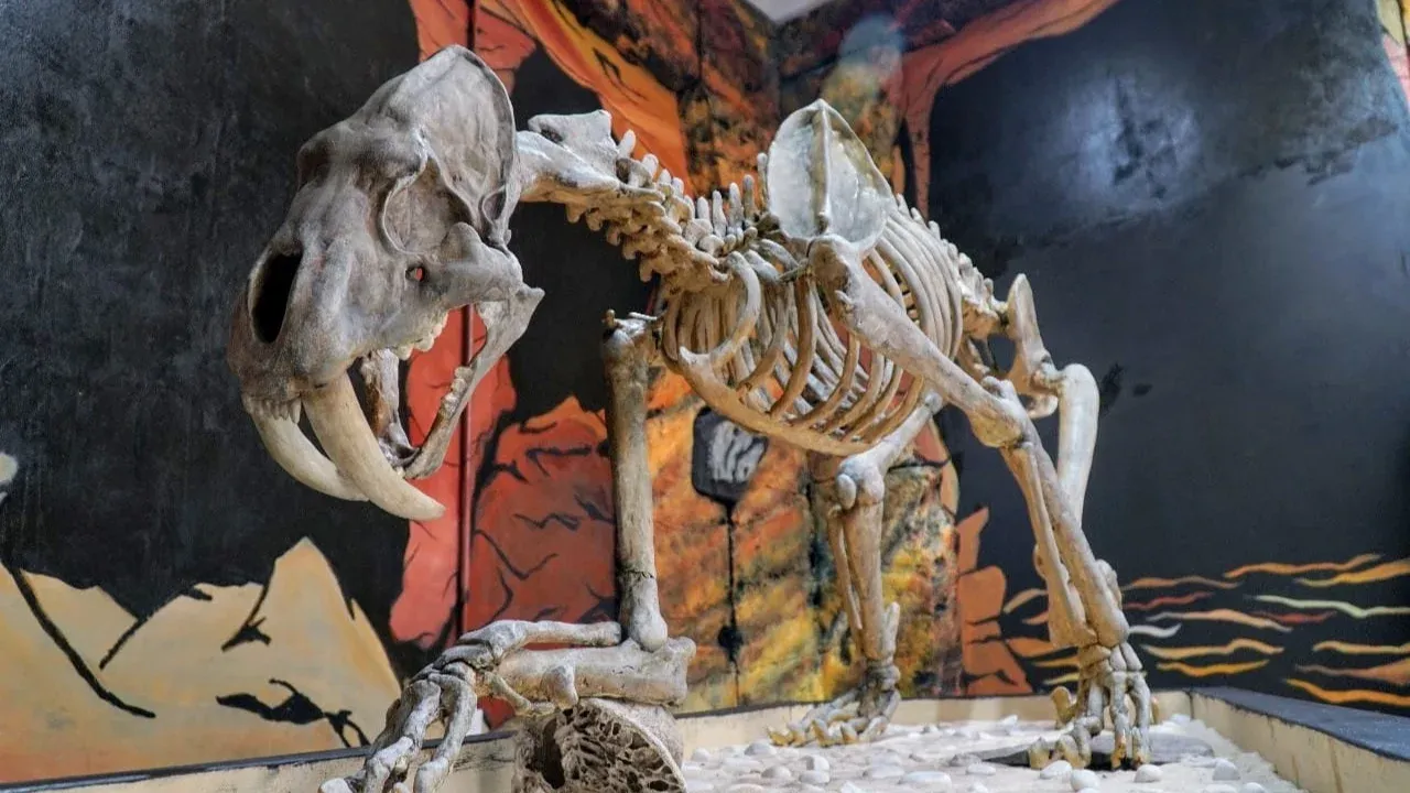 Ernesto Santillán convoca a estudiantes de Ecatepec a visitar el Museo de Vestigios Arqueológicos