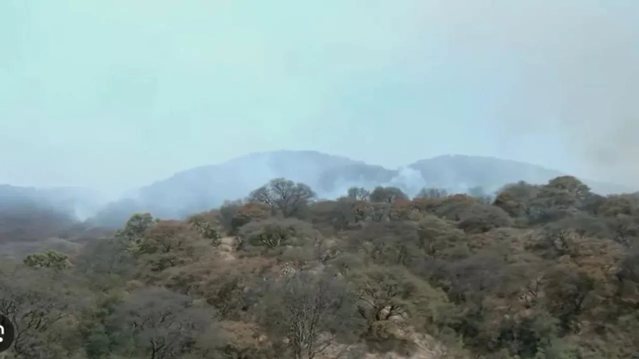GEM informó que Brigadas de Probosque mitigan incendio forestal en el Cerro de la Biznaga en Atizapán de Zaragoza