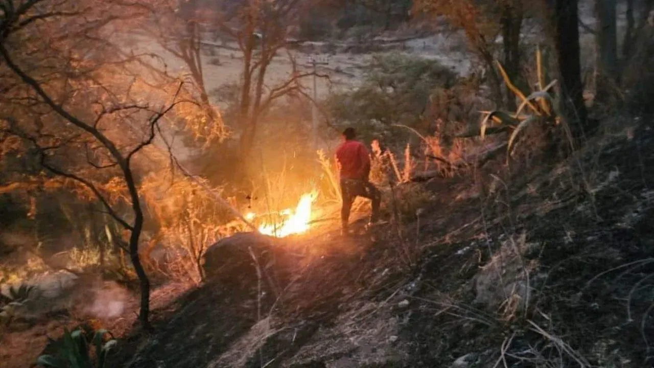 Incontrolable incendio en Santa Ana Jilotzingo, el municipio se encuentra en Estado de Alerta