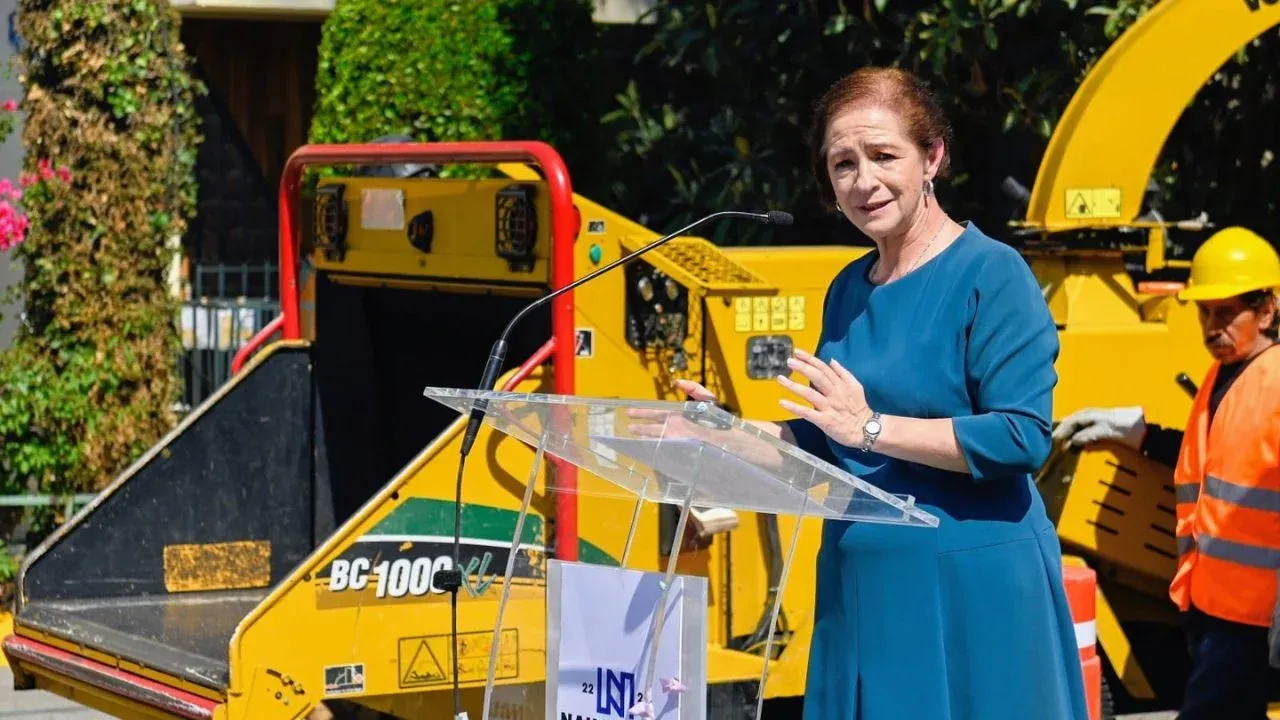 Intervendrán casi 5 mil árboles con plagas en Naucalpan