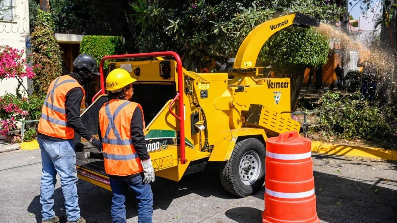 Intervendrán casi 5 mil árboles con plagas en Naucalpan