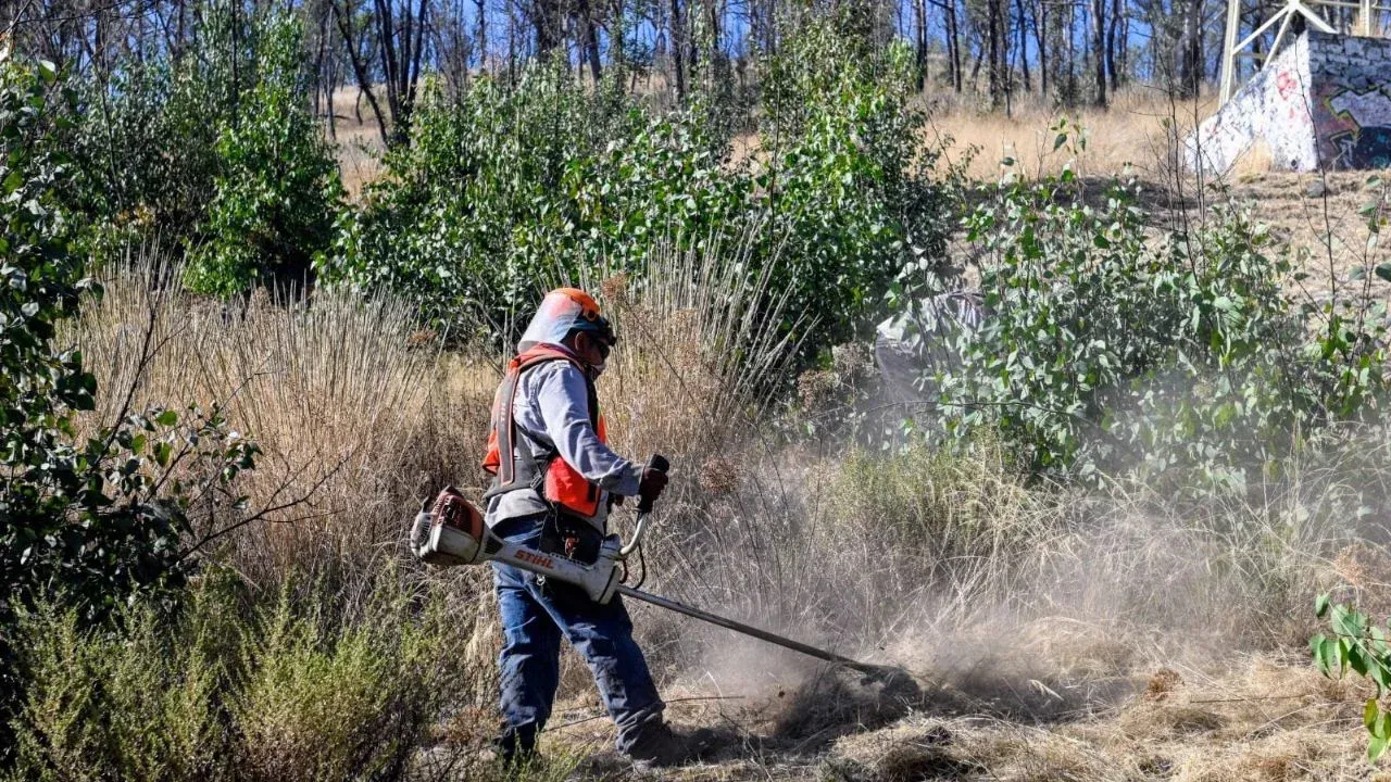 Retiran maleza y material inflamable del Cerro de Moctezuma en el municipio de Naucalpan