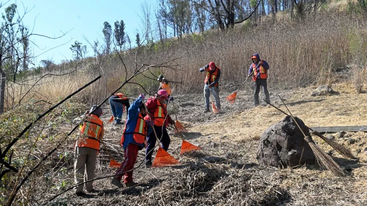 Retiran maleza y material inflamable del Cerro de Moctezuma en el municipio de Naucalpan