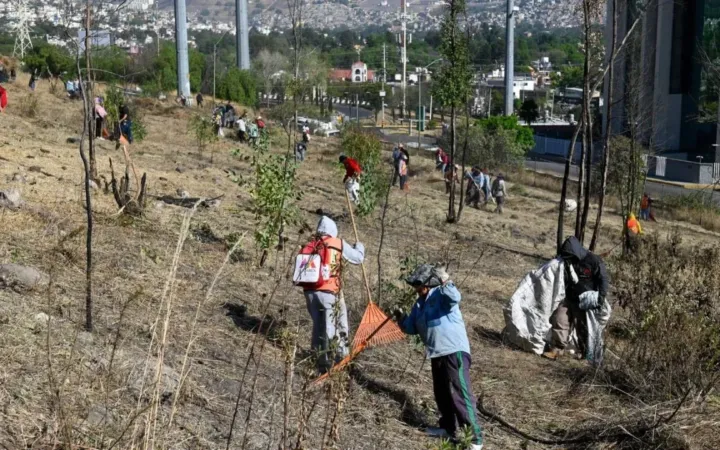 Retiran maleza y material inflamable del Cerro de Moctezuma en el municipio de Naucalpan
