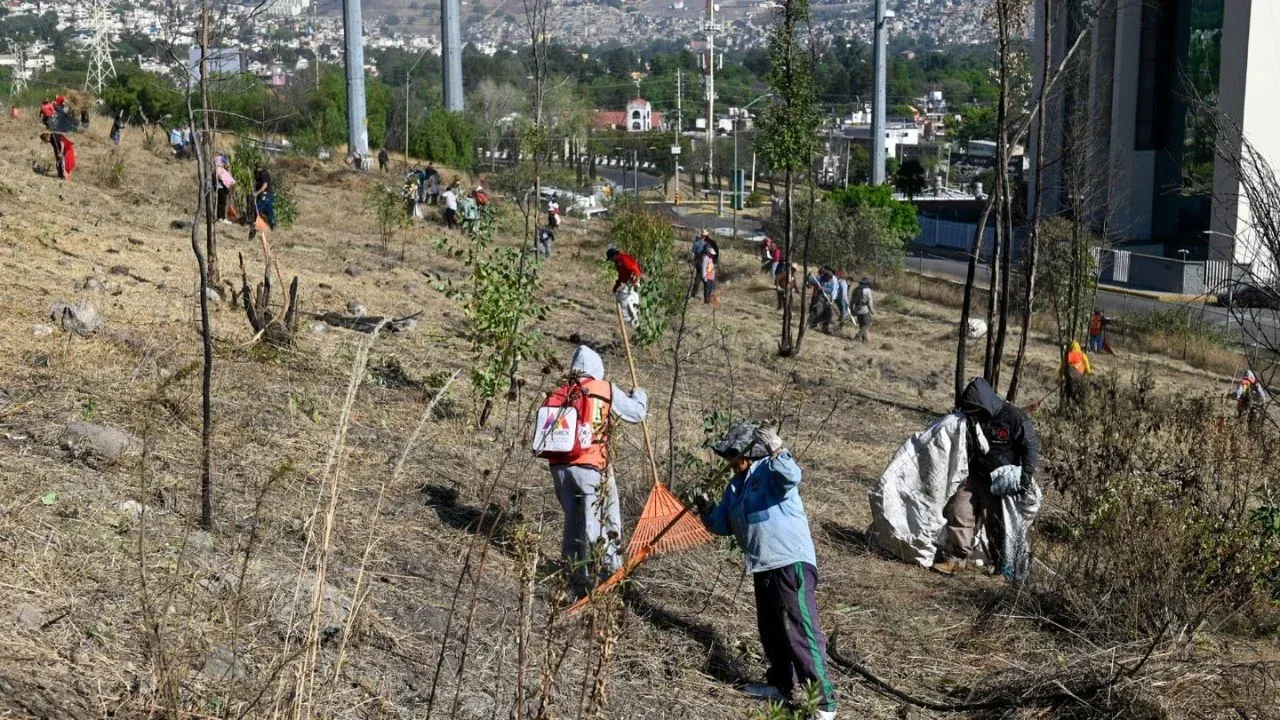 Retiran maleza y material inflamable del Cerro de Moctezuma en el municipio de Naucalpan