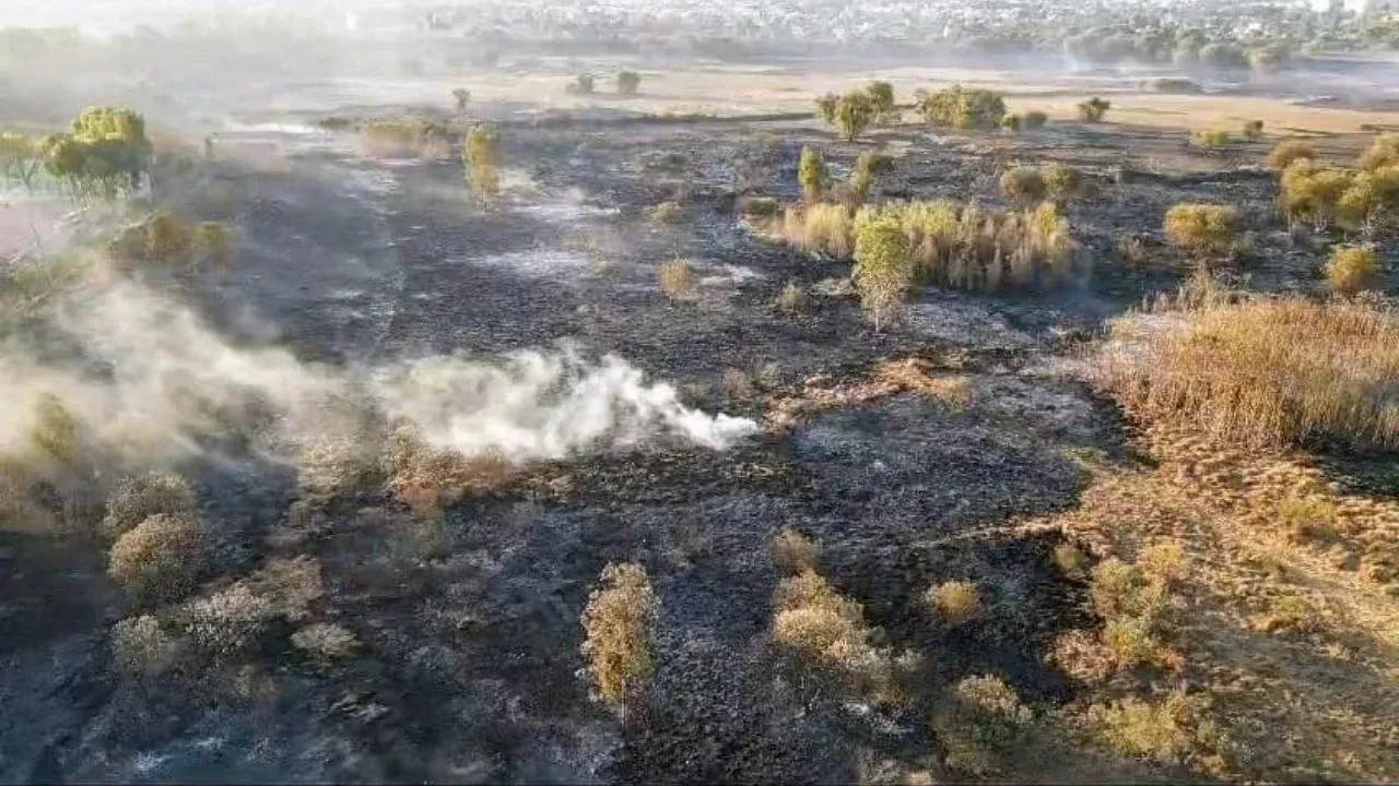 Vuelven a controlar incendio forestal en Vaso Regulador "El Cristo" en Naucalpan