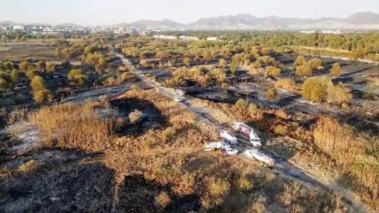 Vuelven a controlar incendio forestal en Vaso Regulador "El Cristo" en Naucalpan