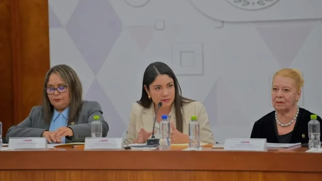 “Necesario que el transporte y espacios públicos sean accesibles para todos los peatones”: Jezabel Delgado