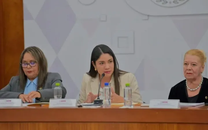 “Necesario que el transporte y espacios públicos sean accesibles para todos los peatones”: Jezabel Delgado
