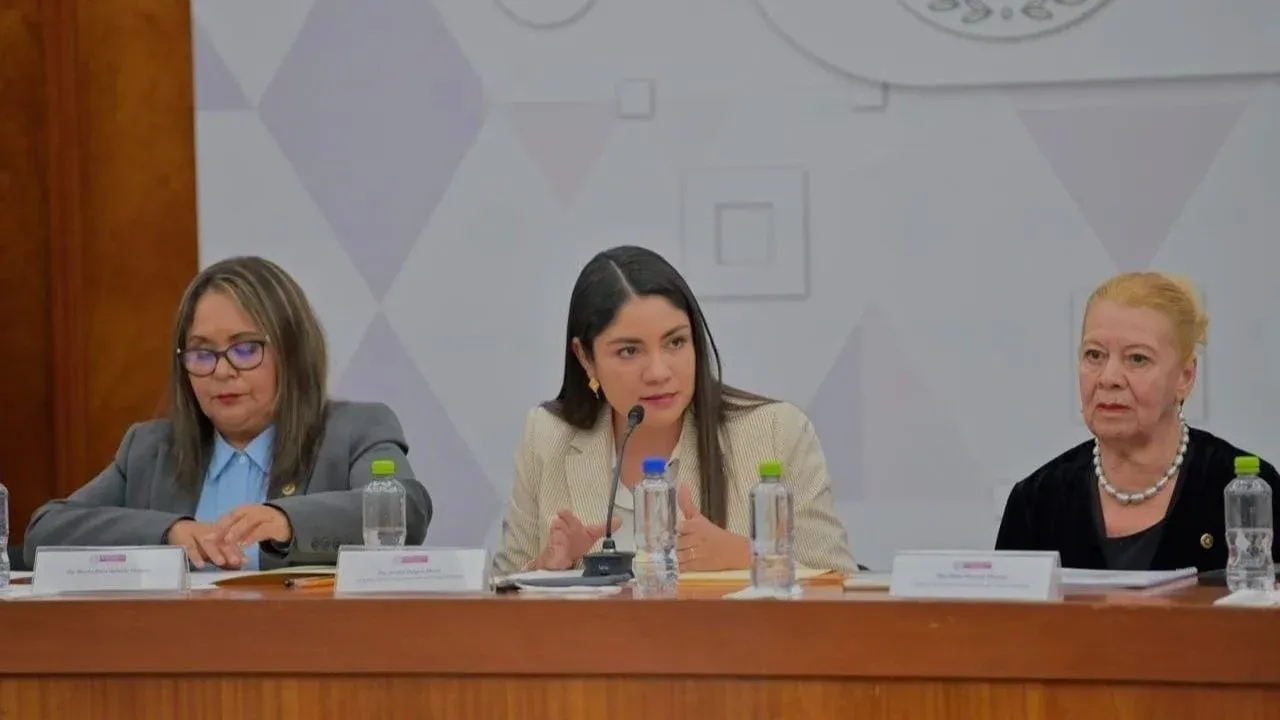 “Necesario que el transporte y espacios públicos sean accesibles para todos los peatones”: Jezabel Delgado