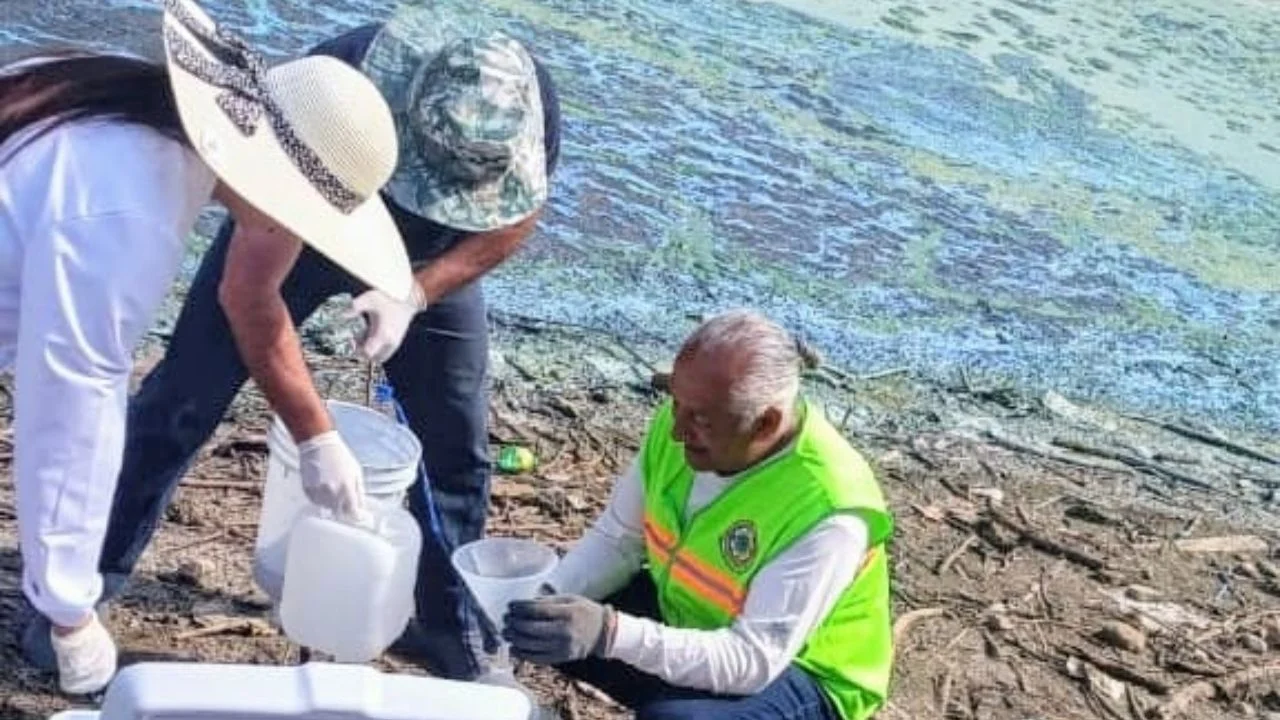 SAPASA analiza agua de la Presa Madín en Atizapán de Zaragoza ante reportes de alga azulverde y olores desagradables