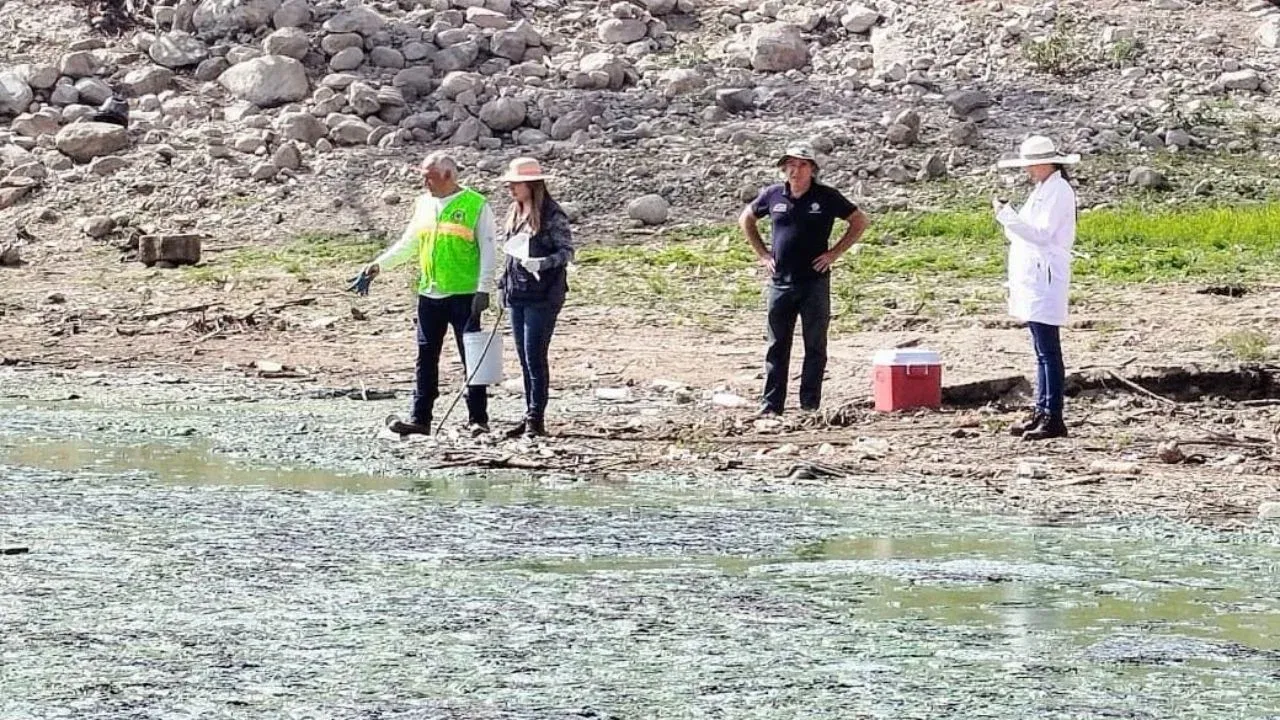 SAPASA analiza agua de la Presa Madín en Atizapán de Zaragoza ante reportes de alga azulverde y olores desagradables