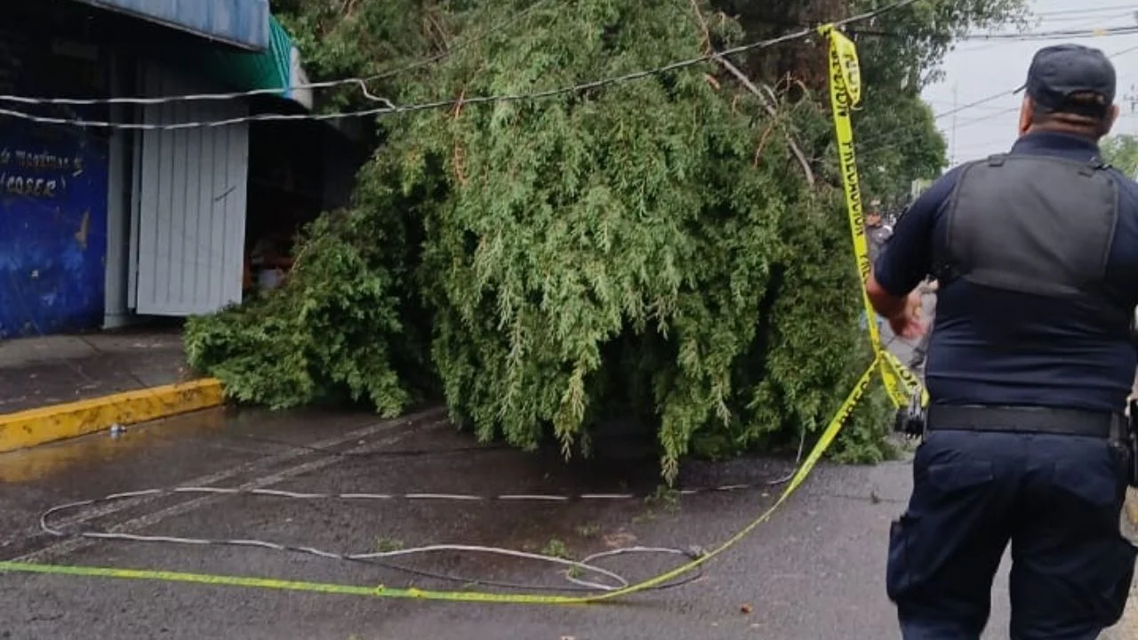 Trabajadores de Naucalpan limpian vialidades y retiran árboles caídos tras tormenta