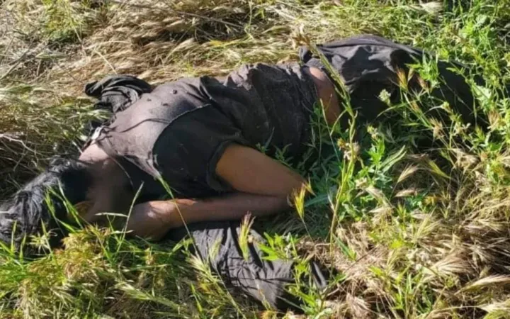 Coadyuva INE en la identificación y localización de personas desaparecidas o no identificadas