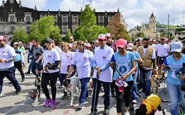 GEM promueve el bienestar animal con caminata y caravanas de atención a mascotas y animales en situación de calle
