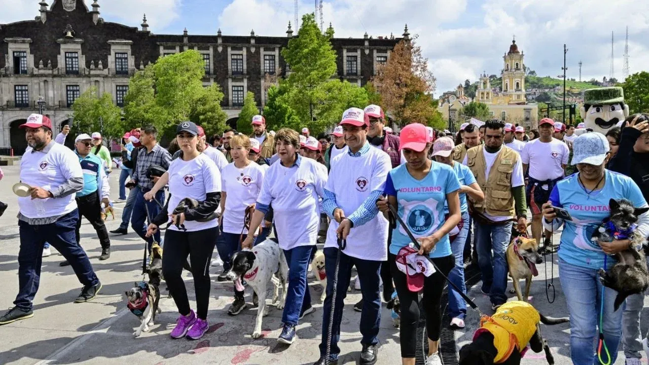 GEM promueve el bienestar animal con caminata y caravanas de atención a mascotas y animales en situación de calle