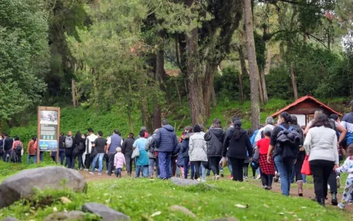 Vive la experiencia del avistamiento de luciérnagas en la entidad mexiquense