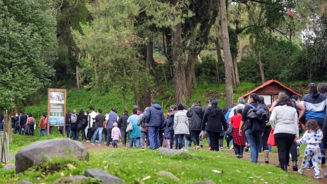 Vive la experiencia del avistamiento de luciérnagas en la entidad mexiquense