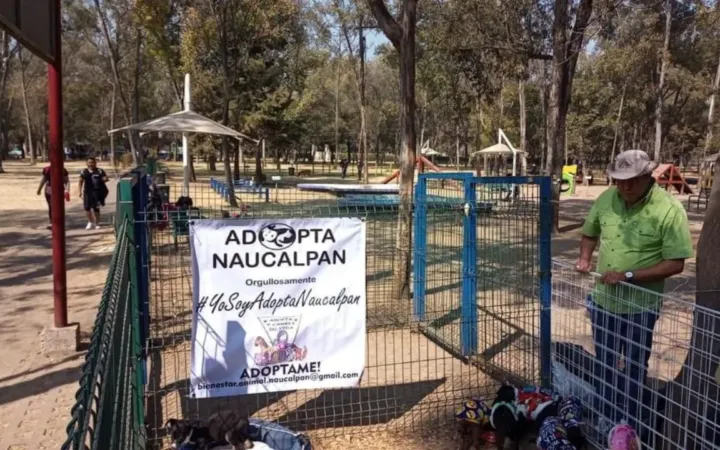 Realizarán evento de adopción de cachorros en Parque Naucalli