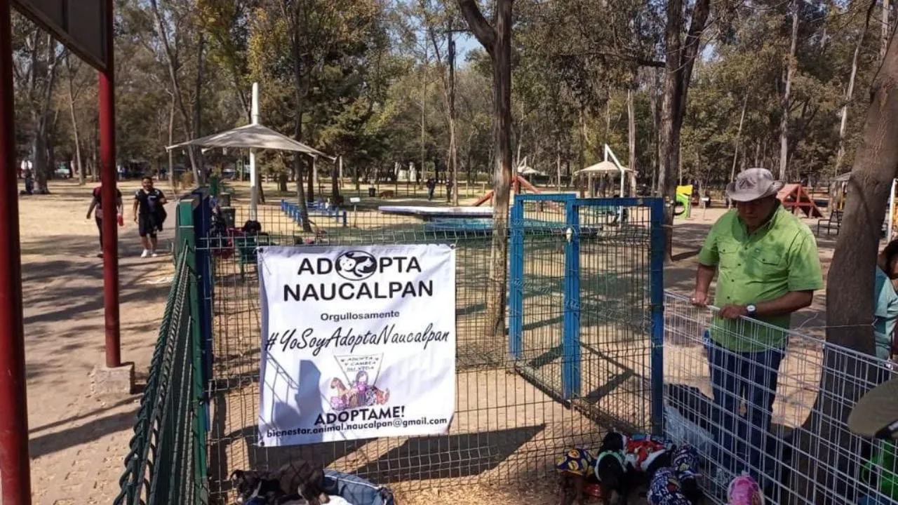 Realizarán evento de adopción de cachorros en Parque Naucalli