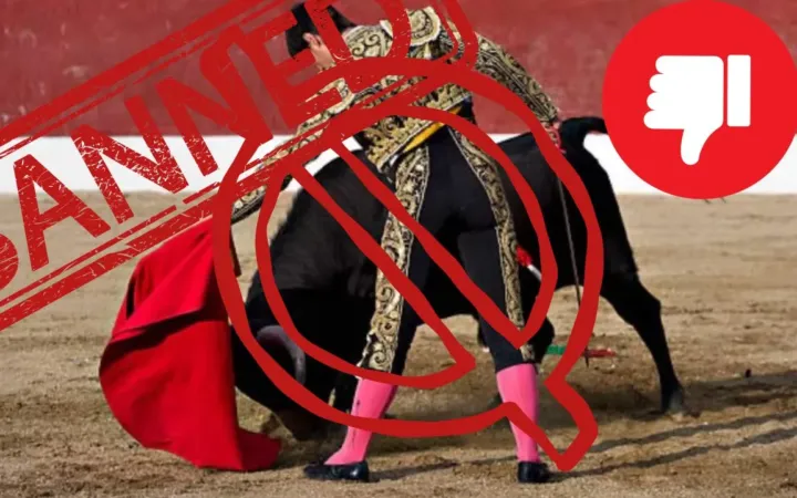 Ciudad de México Prohíbe las Corridas de Toros con Violencia: Avance en Bienestar Animal