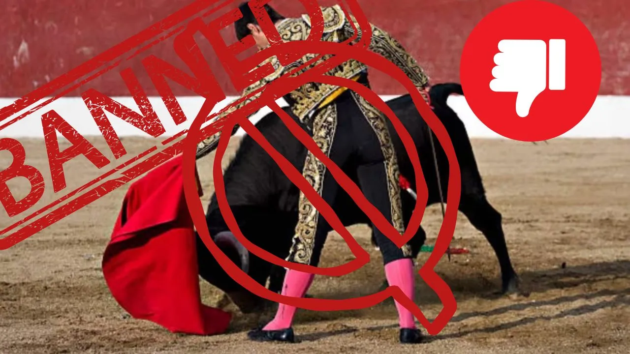 Ciudad de México Prohíbe las Corridas de Toros con Violencia: Avance en Bienestar Animal