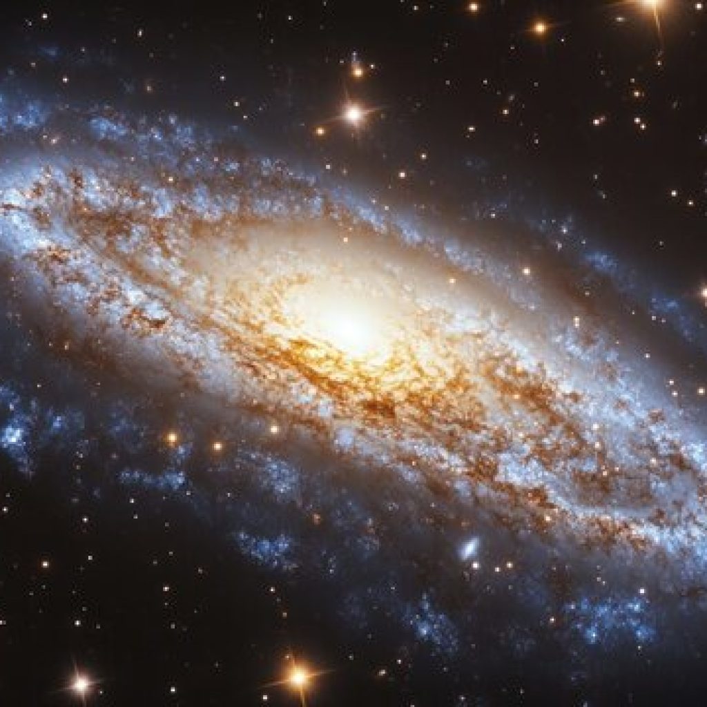 Un descubrimiento astronómico rompe con todo lo conocido: una supernova al estilo “terrorífica”