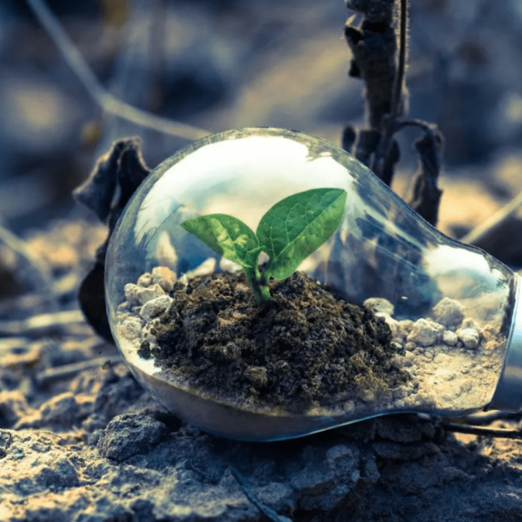 La revolución verde: cómo la tecnología está cambiando la lucha contra el cambio climático