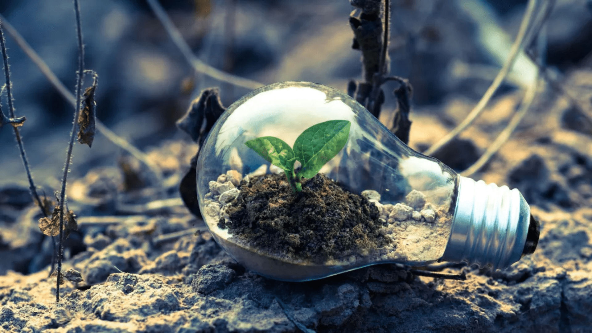 La revolución verde cómo la tecnología está cambiando la lucha contra el cambio climático