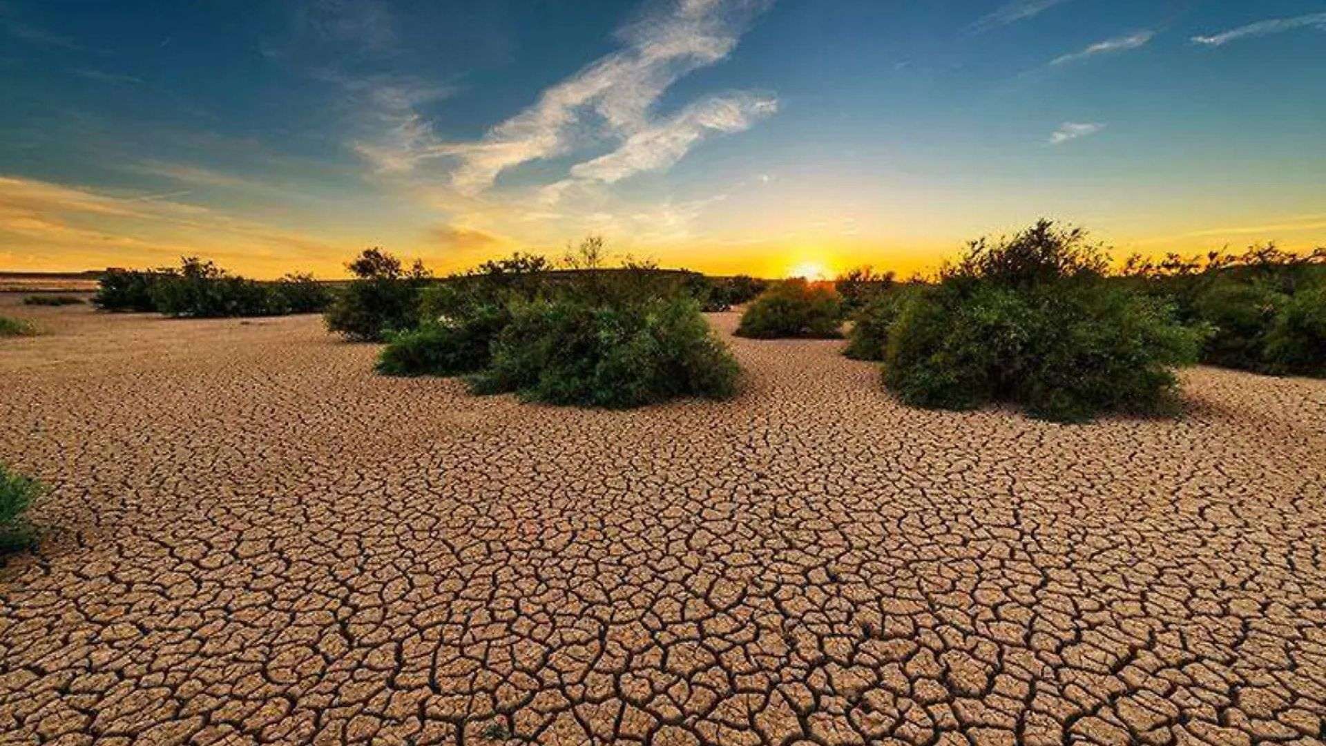 Expertos alertan sobre el deterioro acelerado de reservas naturales y exigen una estrategia nacional de restauración ecológica