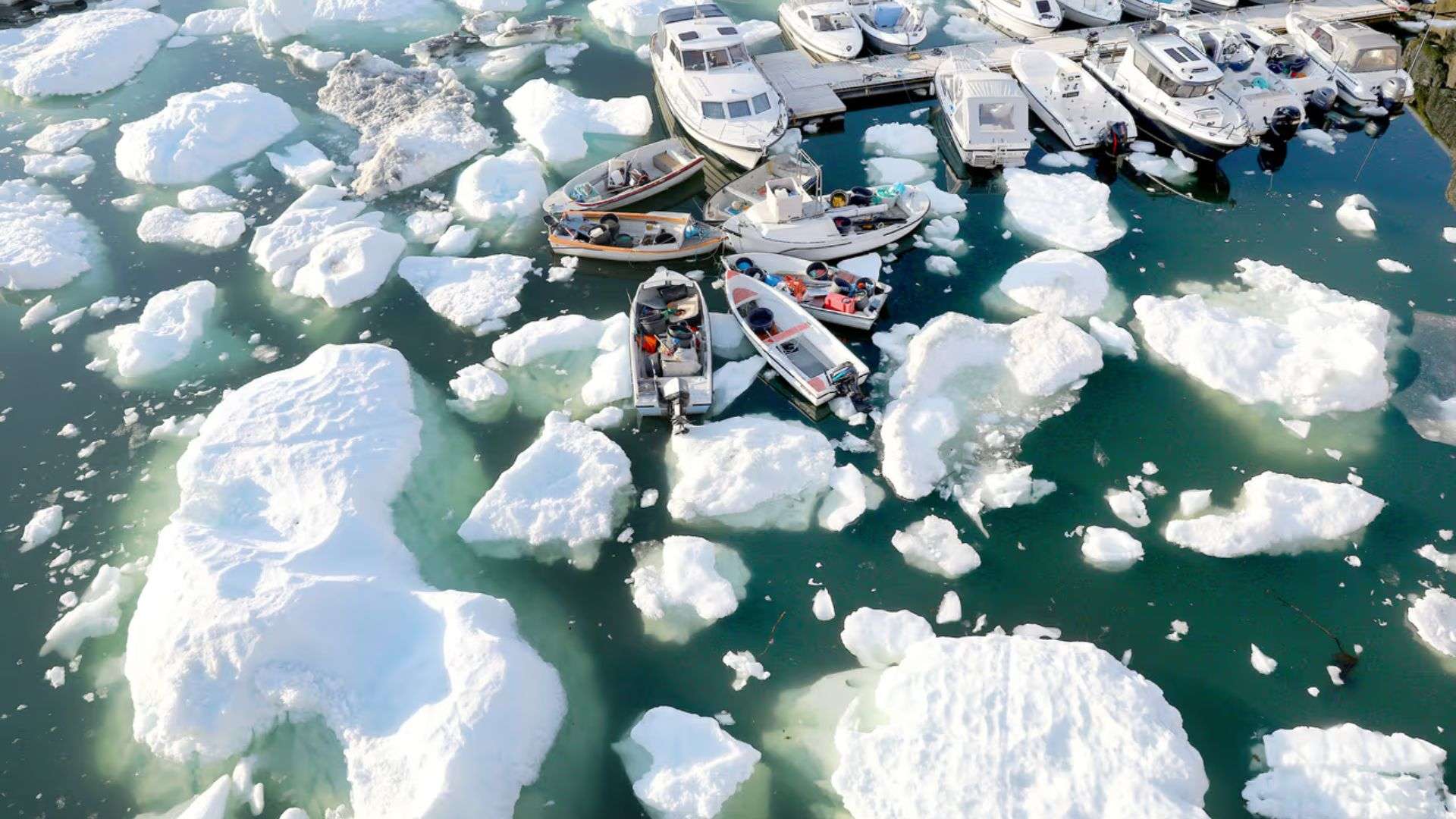 Los Océanos al Límite Cómo el Calentamiento Global Está Transformando la Vida Marina a un Ritmo Nunca Antes Visto