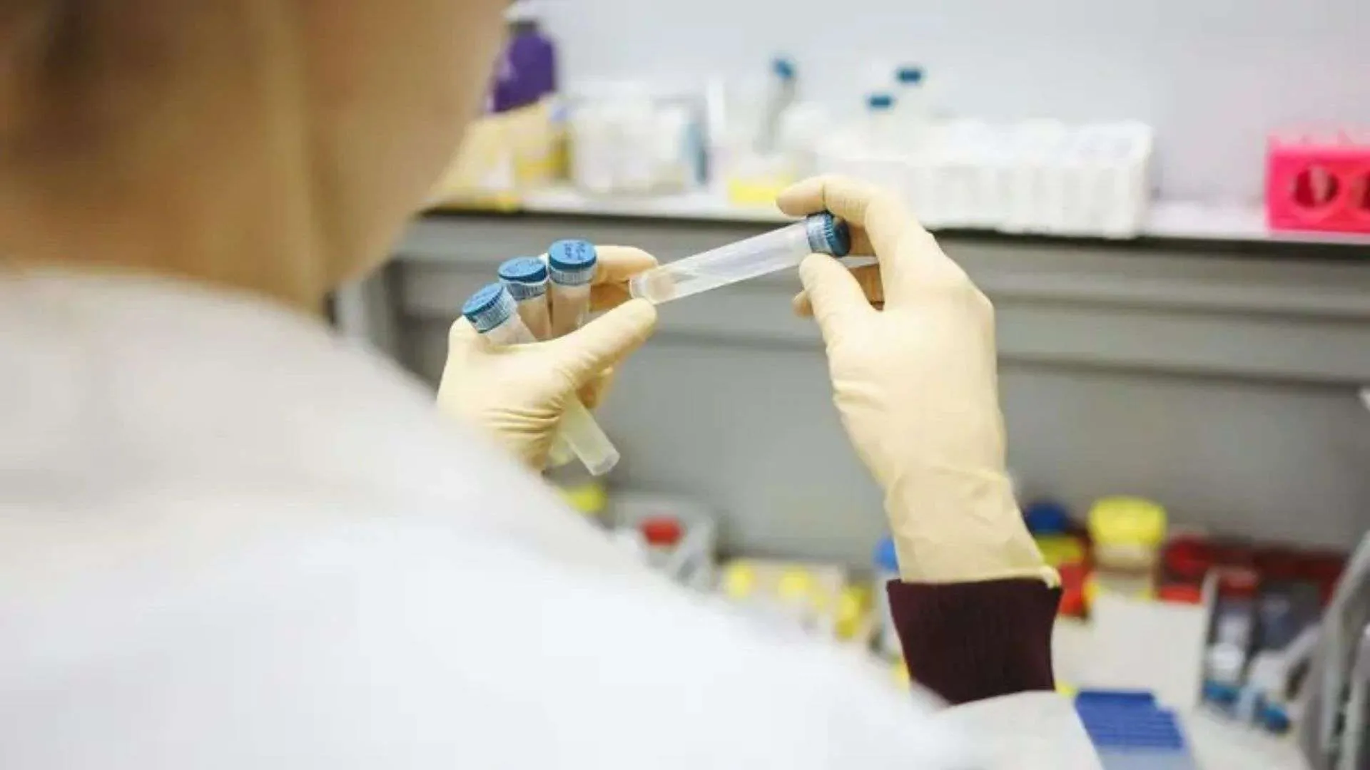 Aumenta la Preocupación por la Resistencia a los Antibióticos: Expertos Alertan sobre un Riesgo Global en Silencio