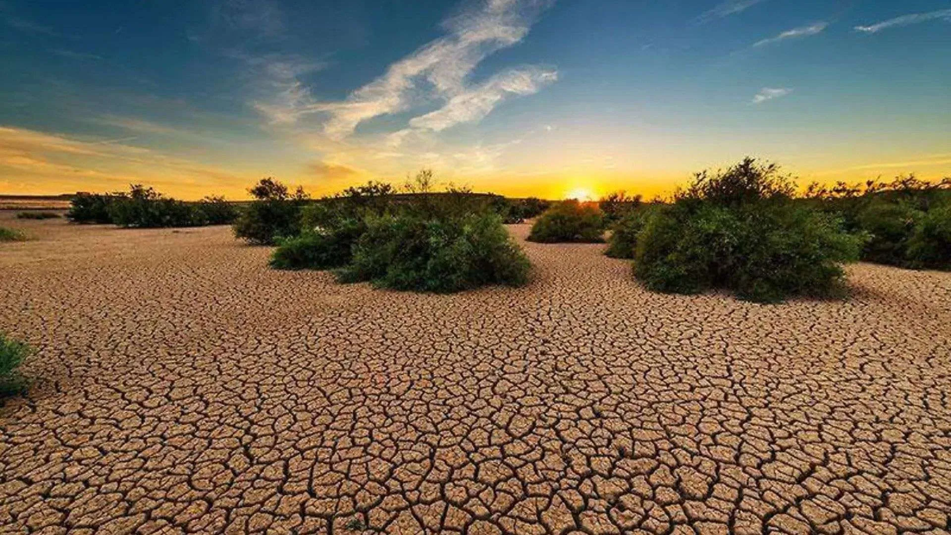 Expertos alertan sobre el deterioro acelerado de reservas naturales y exigen una estrategia nacional de restauración ecológica