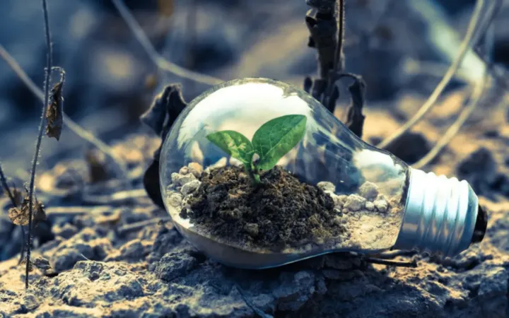 La revolución verde: cómo la tecnología está cambiando la lucha contra el cambio climático