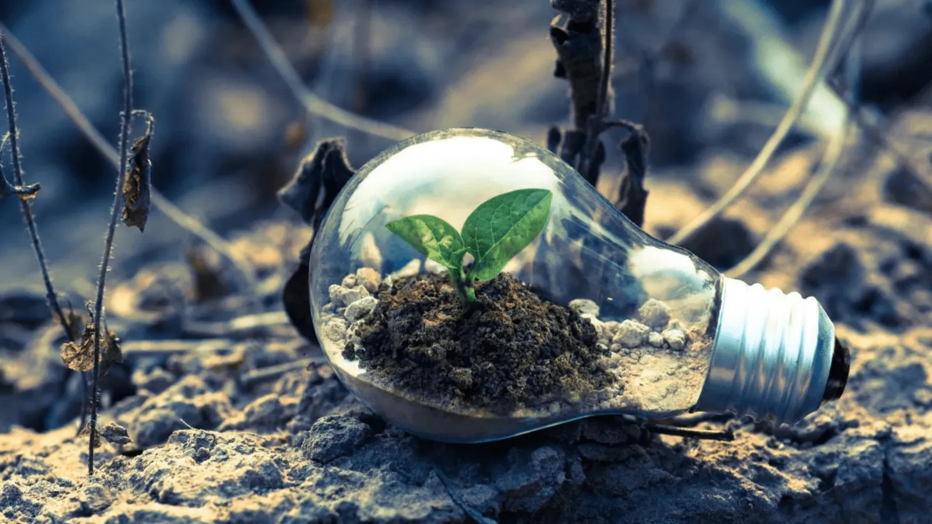 La revolución verde: cómo la tecnología está cambiando la lucha contra el cambio climático
