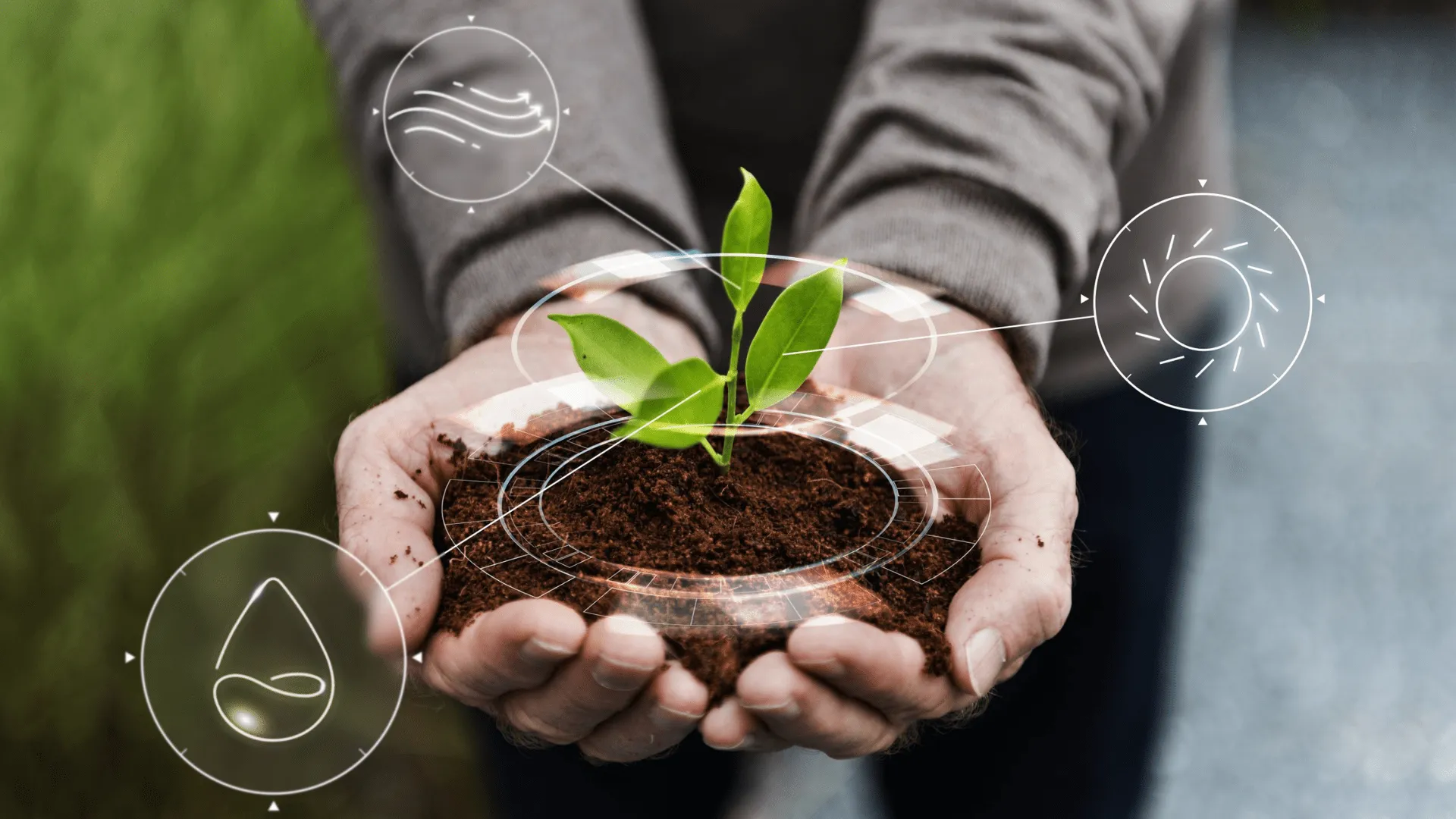 La revolución verde: cómo la tecnología está cambiando la lucha contra el cambio climático