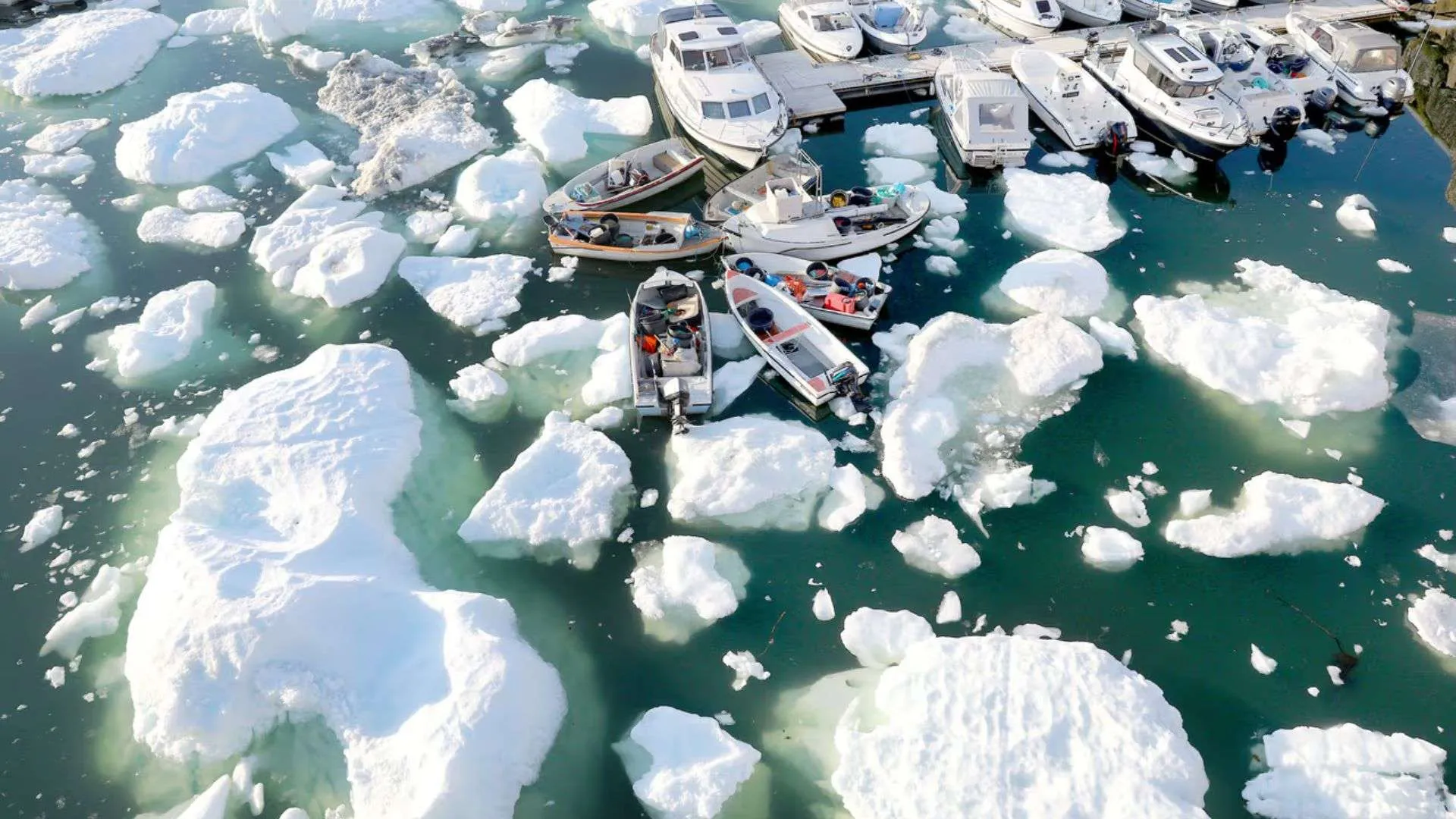Los Océanos al Límite: Cómo el Calentamiento Global Está Transformando la Vida Marina a un Ritmo Nunca Antes Visto