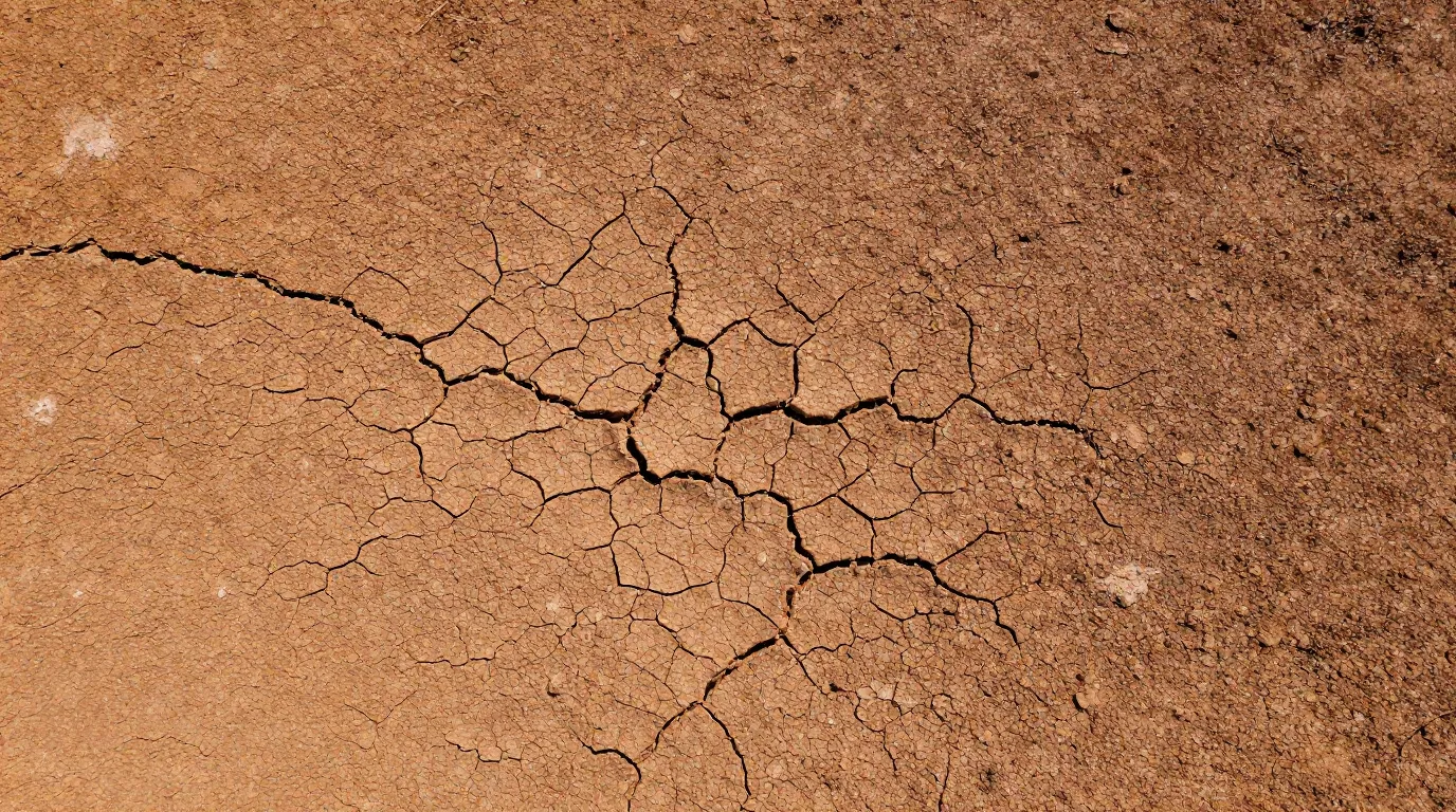 Ola de Calor México 2026: Temperaturas Récord en Abril Ponen en Alerta a Millones de Mexicanos